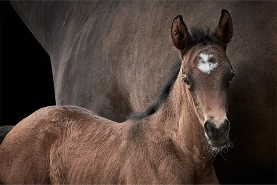 Mare 1