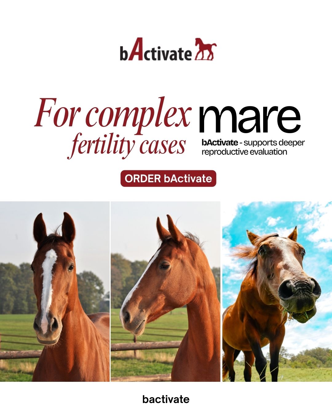 bActivate Facebook ad, For complex fertility cases