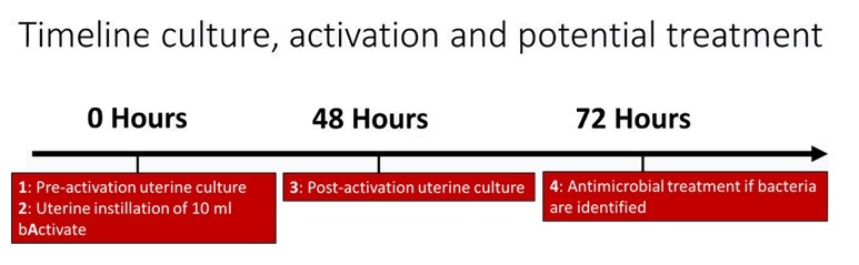Timeline