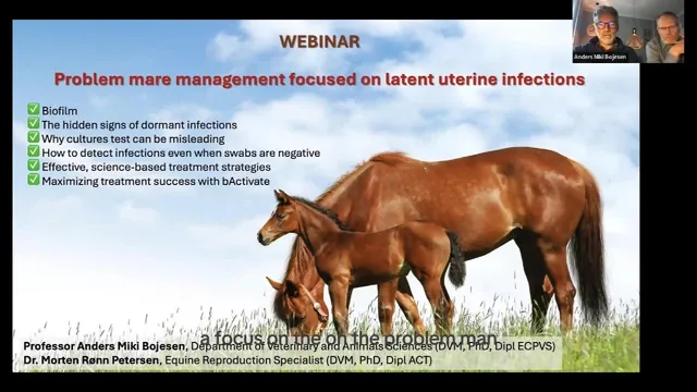 bActivate Webinar, Diagnosis and Treatment of Problem Mares