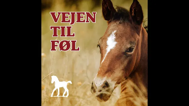 Vejen til Føl Episode 5, Case studies og succesfortællinger